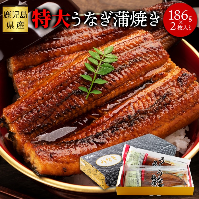 国産 特大うなぎ蒲焼き 200g×2袋 日本ギフト大賞鹿児島県賞受賞!! こだわりのつまった特大うなぎ蒲焼き!! ふっくらジューシーで食べ応え満点♪ 化粧箱入りで父の日の贈り物にもおすすめです!! うなぎ 蒲焼き 【代引不可】
