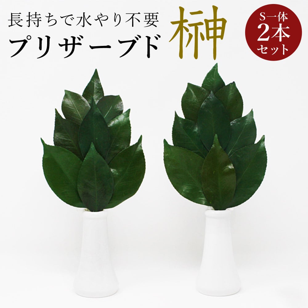 【メール便】 プリザーブド 榊 プレミアム Sサイズ(一対) 椿葉を実用新案取得製法加工 長持ちし水やり不要 【代引/同梱不可】