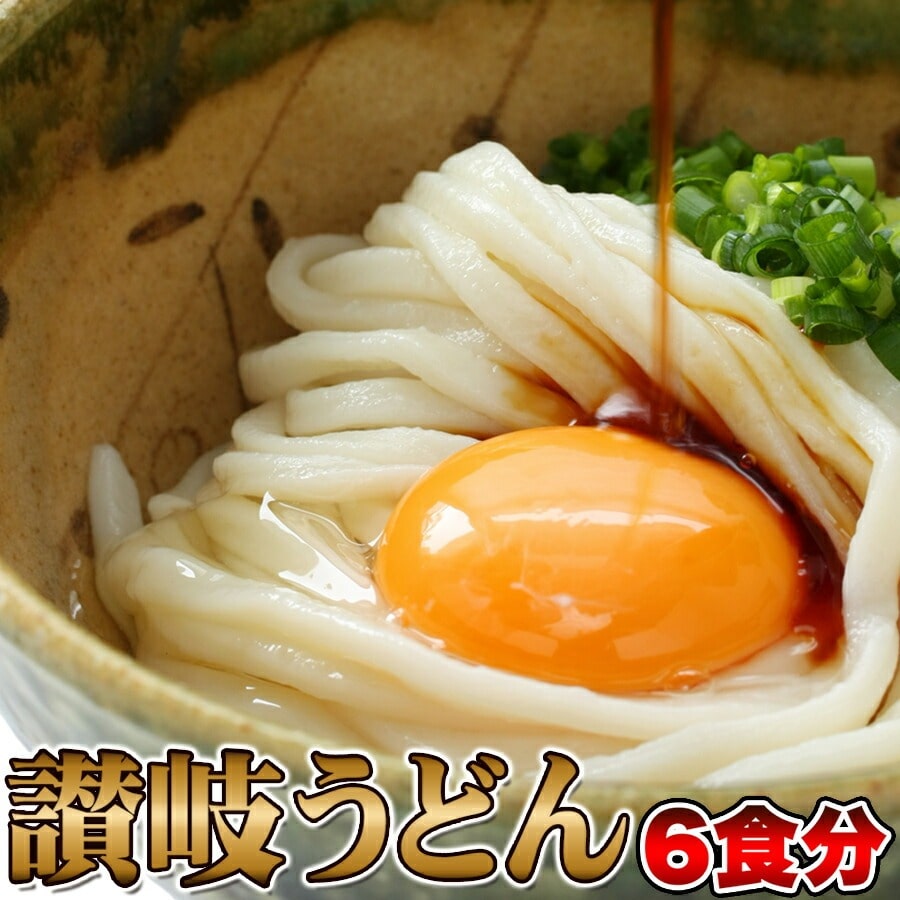 讃岐うどん 6食分 600g(300g×2袋) ダシ醤油付き 饂飩 うどん つるっ!!しこっ!!メチャ旨!!本場香川の讃岐うどん!! 【代引不可】