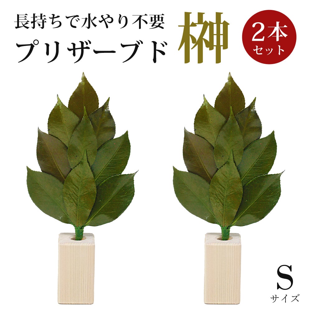 榊Sサイズ 2本セット 榊立て付き プリザーブド加工 榊 椿葉 神棚用 神具 水やり不要 ST-002 【代引不可】