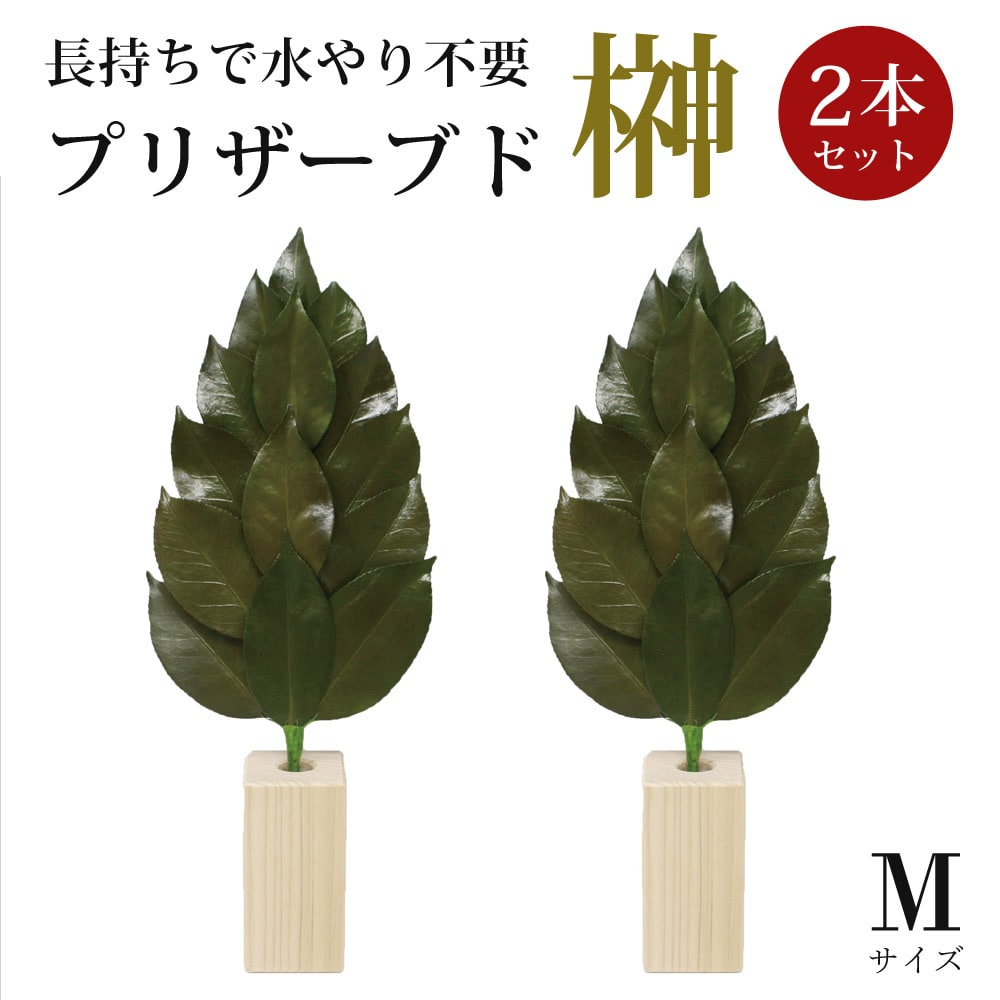 榊 Mサイズ 2本セット 榊立て付き プリザーブド加工 榊 椿葉 神棚用 神具 水やり不要 ST-003 【代引不可】