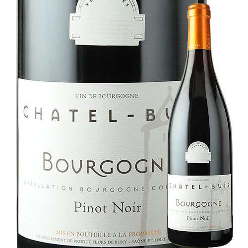 シャテル・ビュイ・ブルゴーニュ・ピノ・ノワール 赤ワイン 750ml フランス ブルゴーニュ 2021年 ピノ・ノワール ワイン 赤 本格派 Vignerons de Bux ヴィニュロン・ド・ビュクシー 2101010009835 【代引不可】