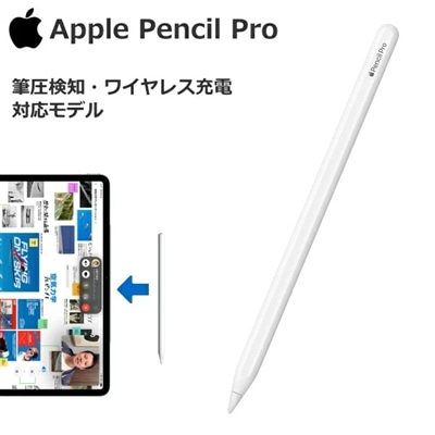 アップルペンシル プロ 国内正規品 Apple Pencil Pro 新品 アップル ペンシル ApplePencilPro 側面充電 最新 タッチペン スタイラスペン 筆圧検知 MX2D3ZA/A ペン
