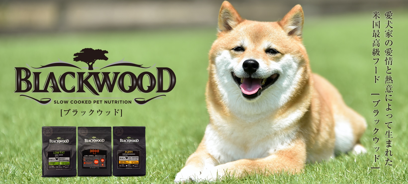 ブラックウッド