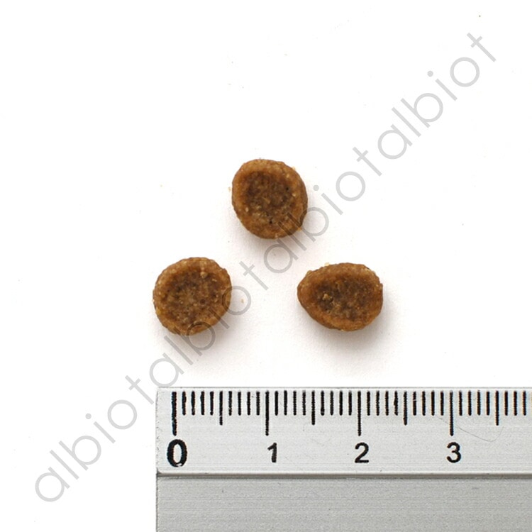 アーテミス アガリクス イミューンサポート I/S 小粒 1kg