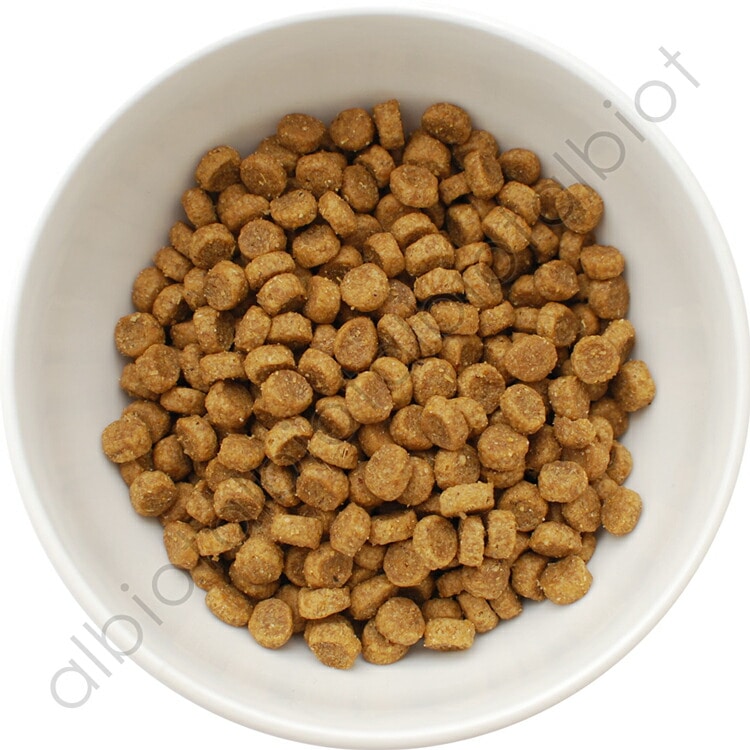 アーテミス アガリクス イミューンサポート I/S 小粒 1kg