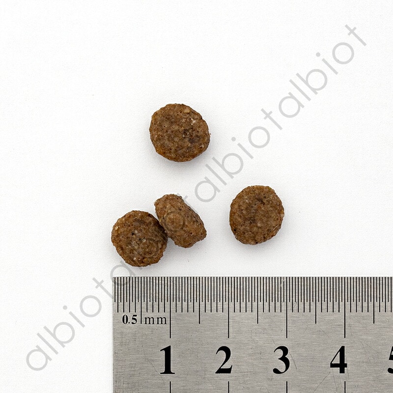 ナチュラルハーベスト メンテナンス スモール ラム 1.1kg×6袋