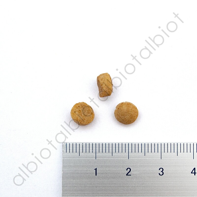 ナチュラルハーベスト お魚を使ったおなかにやさしいフード 700g