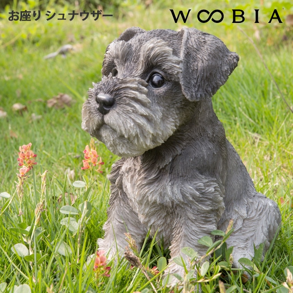 WOOBIA お座り シュナウザー  H14020