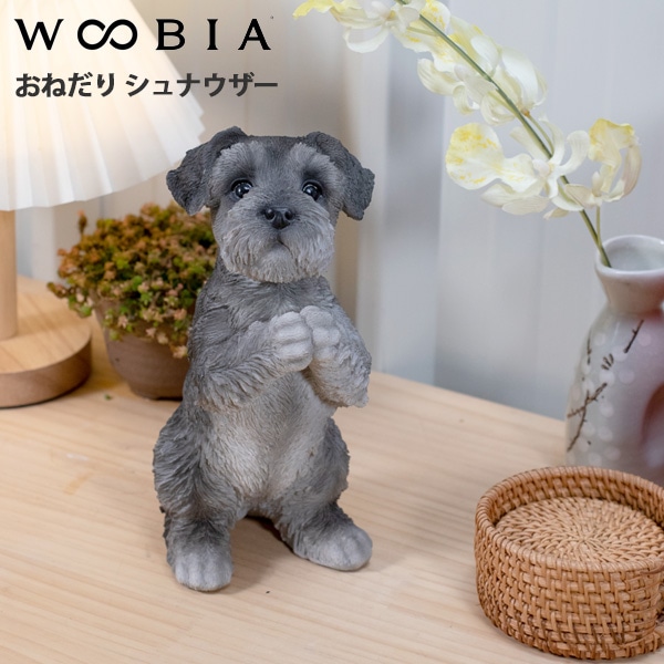WOOBIA おねだり シュナウザー H17327