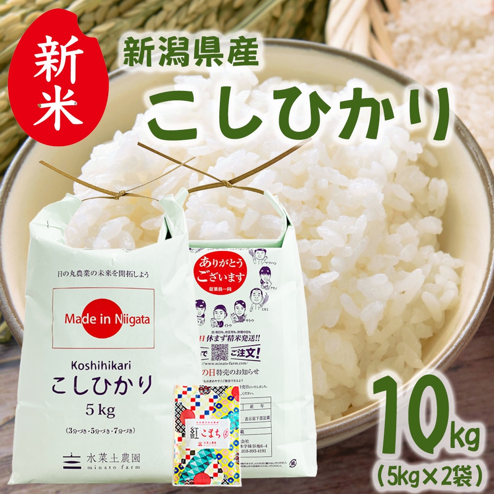 新米 新潟県産 こしひかり 精米 10kg（5kg×2袋）令和7年産 古代米お試し袋付き