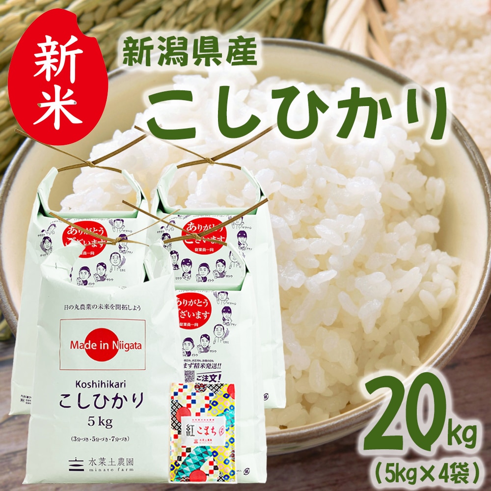 新米 新潟県産 こしひかり 精米 20kg（5kg×4袋）令和7年産 古代米お試し袋付き