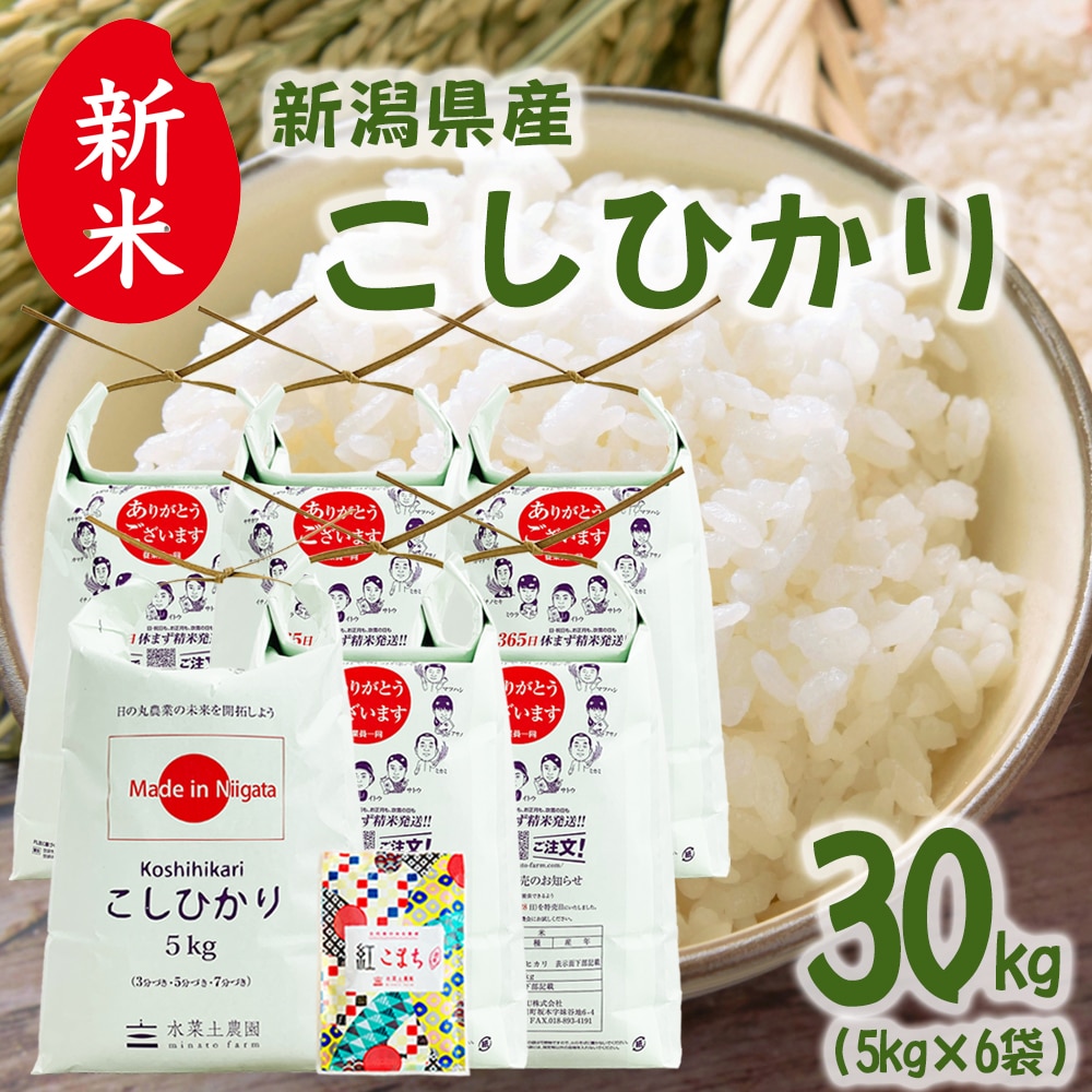 新米 新潟県産 こしひかり 精米 30kg（5kg×6袋）令和7年産 古代米お試し袋付き