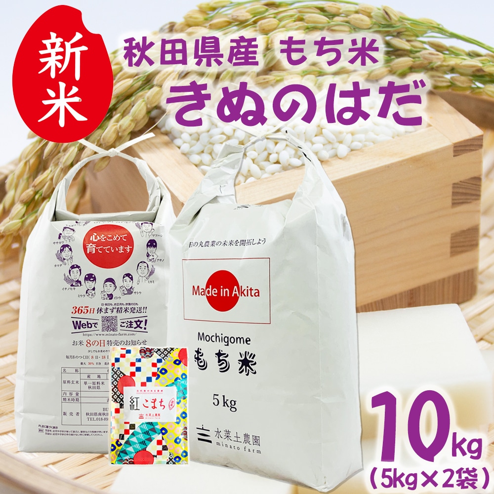 新米 秋田県産 きぬのはだ もち米 精米 10kg(5kg×2袋)令和7年産 古代米お試し袋付き