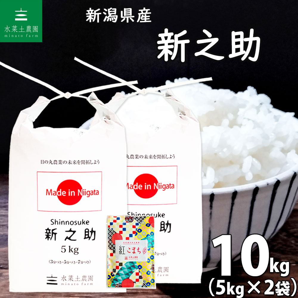 新潟県産 新之助 精米 10kg（5kg×2袋）令和7年産 古代米お試し袋付き