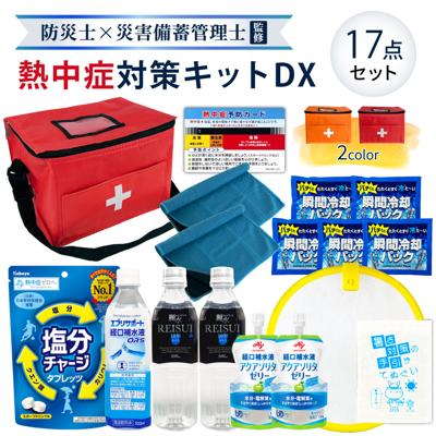熱中症対策キットDX(デラックス) カラー クーラーバッグに入った応急処置セット 熱中症対策グッズ 瞬間冷却剤 水分補給ゼリー 塩分チャージ 涼感ひんやり冷却タオル 経口補水液 保存水 熱中症予防カード 工事現場 農作業 非常用