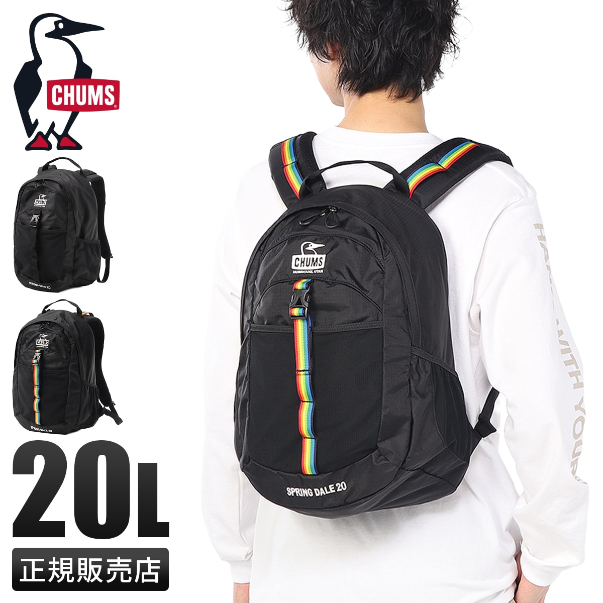 チャムス スプリングデール リュック メンズ レディース ブランド A4 B4 20L CHUMS Spring Dale CH60-4099