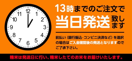 13時までのご注文で当日発送いたします