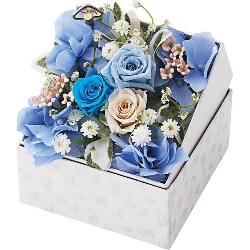 オルゴール付きボックスフラワーアレンジメント(シンデレラ) /プレゼント ギフト プリザーブドフラワー 花・観葉植物 ガーデニング・農業 お歳暮 お年賀 クリスマス ギフト