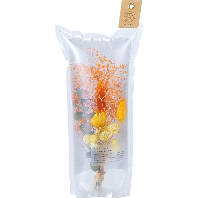 エアブーケ オレンジ /プレゼント ギフト ドライフラワー 花・観葉植物 ガーデニング・農業 お歳暮 お年賀 クリスマス ギフト