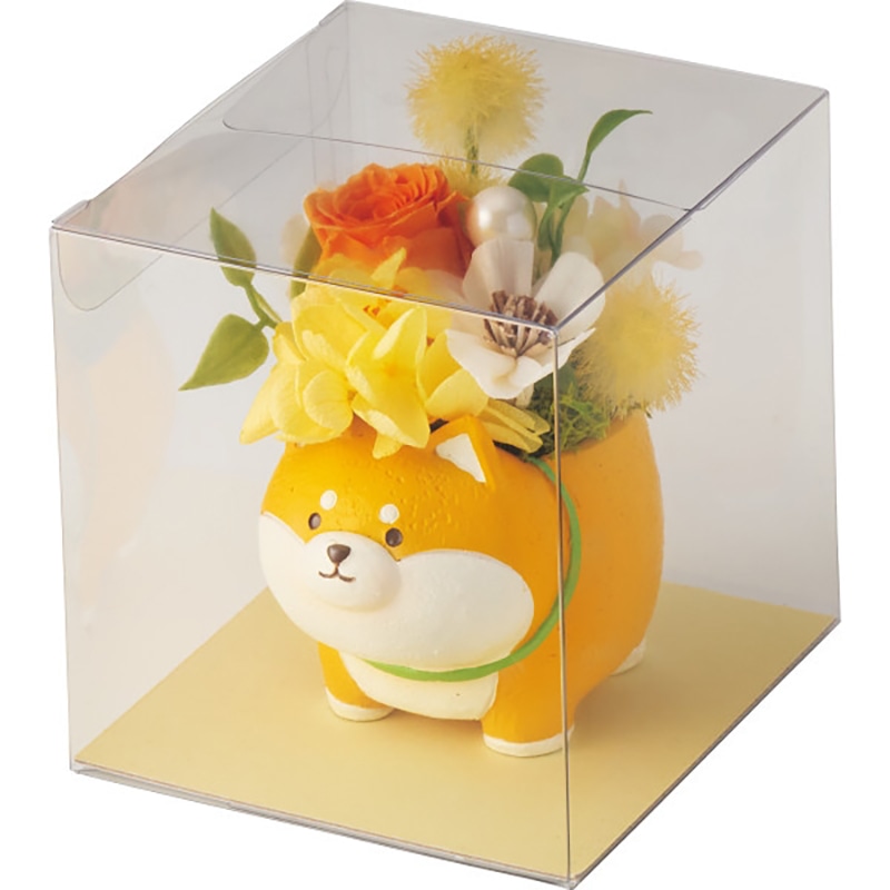 アニマルプリザ(プリザーブドフラワー) 柴犬 /プレゼント ギフト プリザーブドフラワー 花・観葉植物 ガーデニング・農業 お歳暮 お年賀 クリスマス ギフト