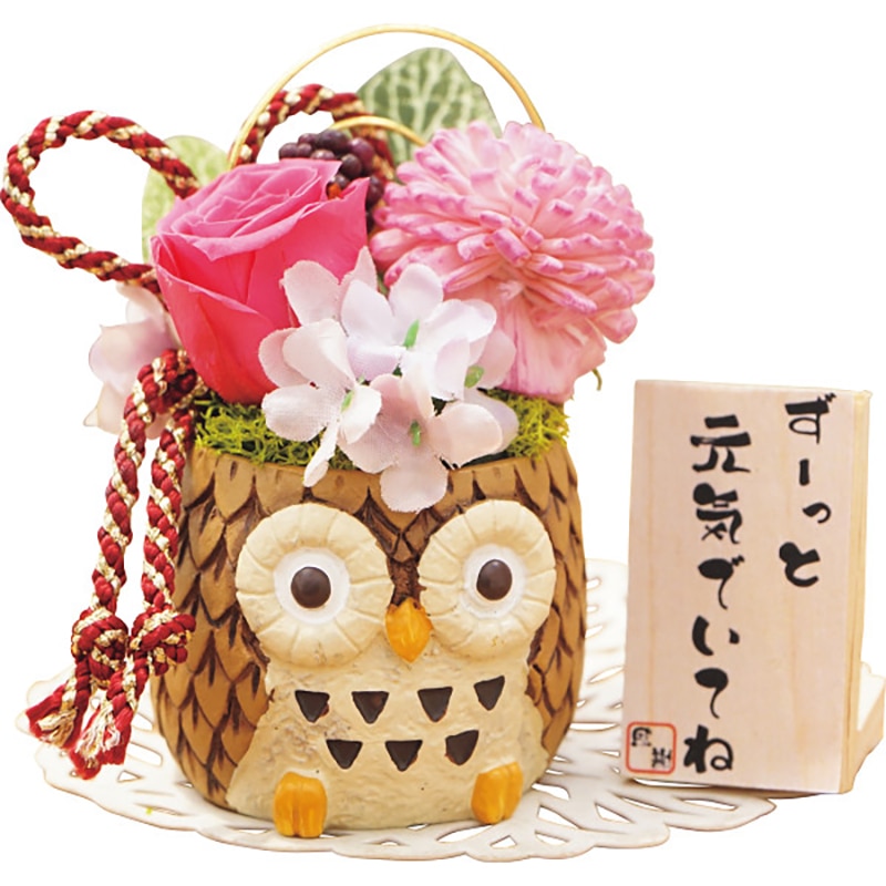 長寿福ろう(プリザーブドフラワー) ピンク /プレゼント ギフト プリザーブドフラワー 花・観葉植物 ガーデニング・農業 お歳暮 お年賀 クリスマス ギフト