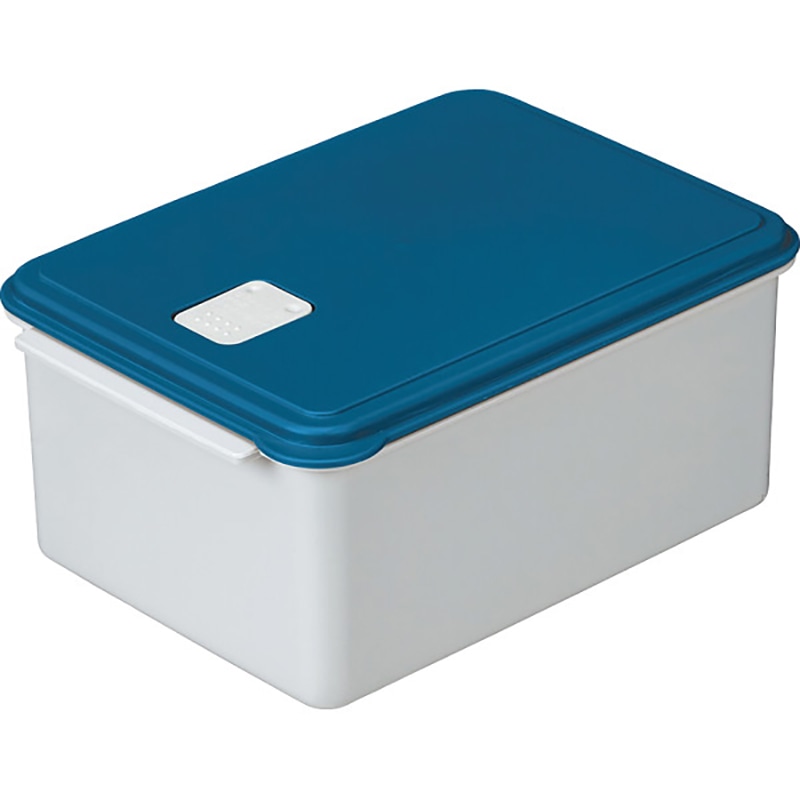 電子レンジスチーム調理&保存容器L ブルー ／プレゼント ギフト 電子レンジ用調理器具 調理器具 キッチン用品 お歳暮 お年賀 クリスマス ギフト