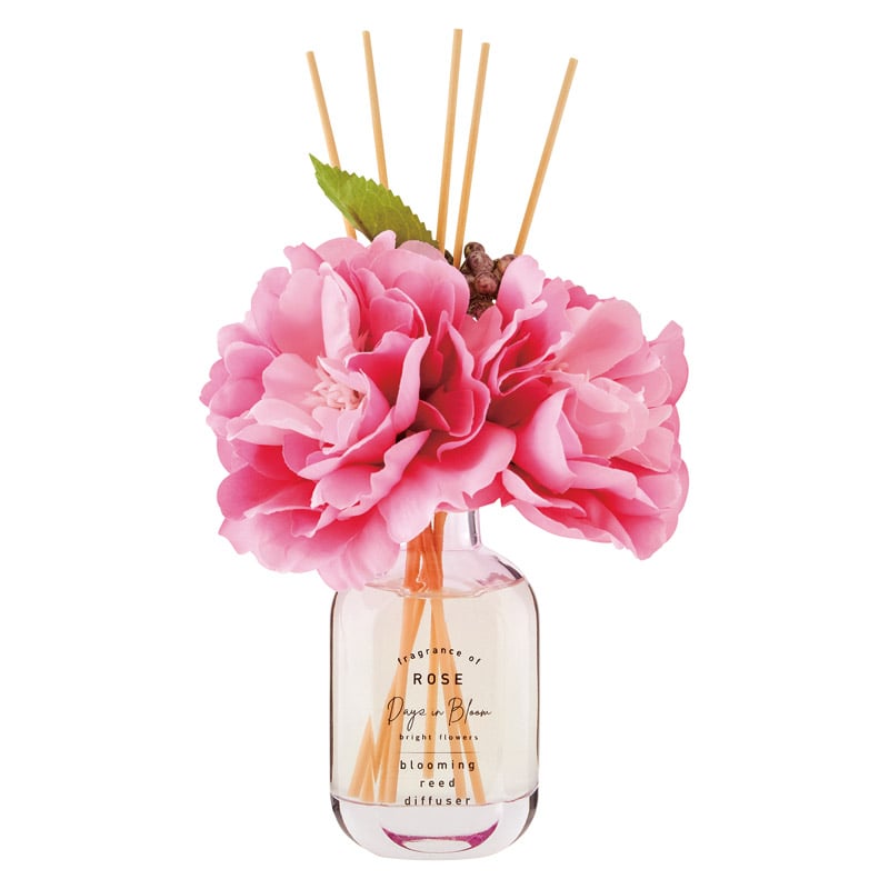 デイズインブルーム ブルーミングリードディフューザー  ／消臭剤・芳香剤 日用消耗品 日用品・ヘルスケア ギフト プレゼント プチギフト 祝い バレンタイン チョコ 以外 子供 友達 ホワイトデー お返し 人気 カード