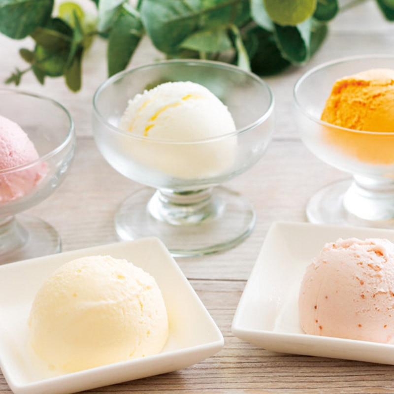 乳蔵 北海道アイスクリーム5個入／アイスクリーム アイスクリーム・シャーベット スイーツ・お菓子 食品 送料無料 取り寄せ グルメ 産地直送 センター スイーツ バレンタイン チョコ 以外 子供 友達 ホワイトデー お返し 人気 カード