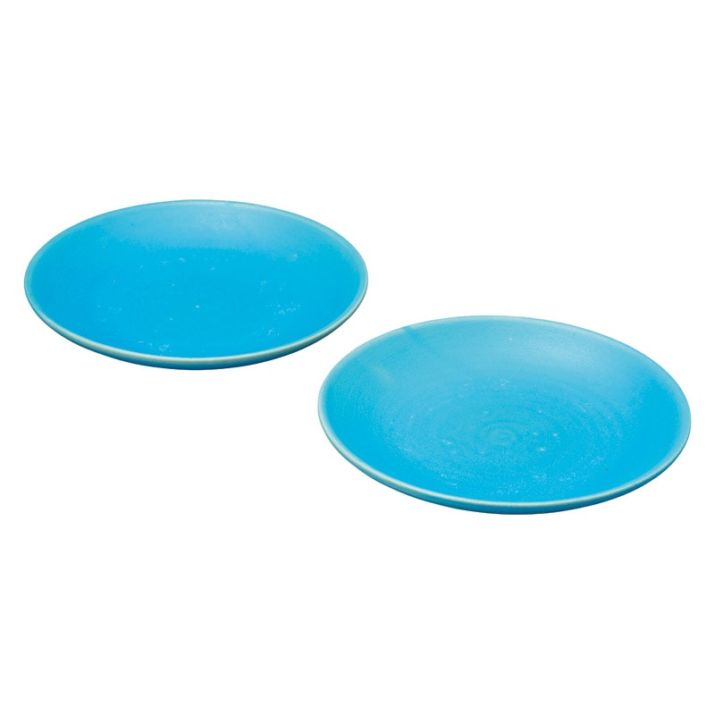 信楽焼 Toruco 丸皿ペア ／皿・プレート 食器 キッチン用品 ギフト プレゼント プチギフト 祝い お年賀 御年賀 2026 送料無料 人気 年始挨拶 バレンタイン チョコ 以外 子供 友達