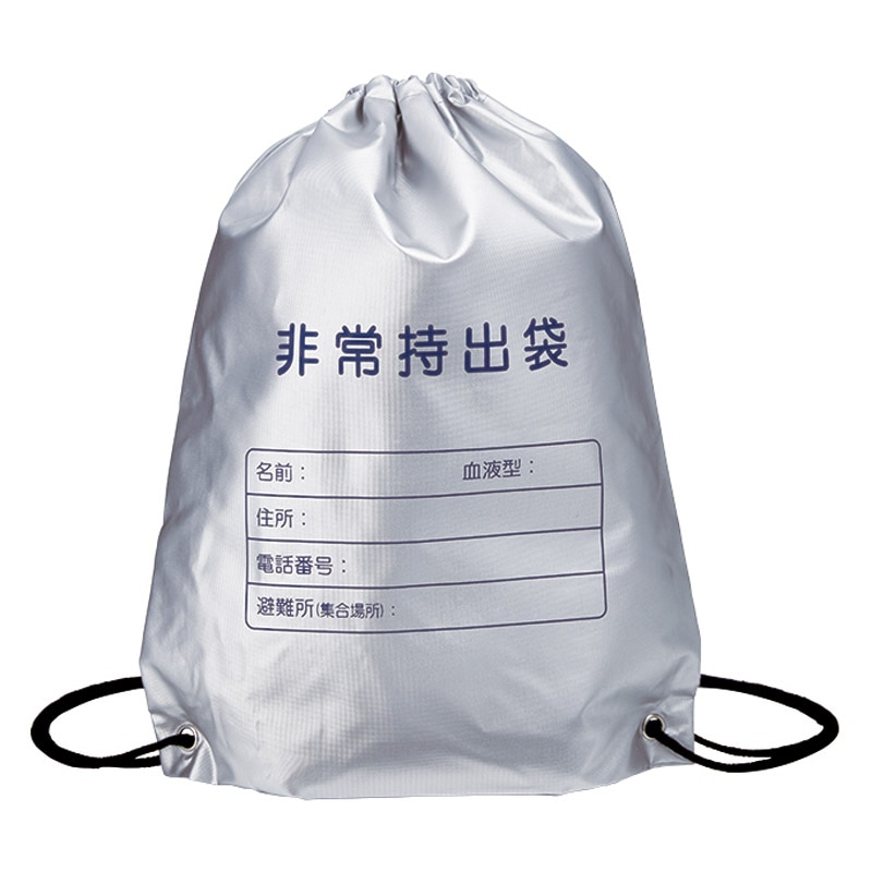 難燃加工非常用持出袋 ／防災セット・非常用持ちだし袋 防災関連グッズ 日用品・ヘルスケア ギフト プレゼント プチギフト 祝い お年賀 御年賀 2026 送料無料 人気 年始挨拶 バレンタイン チョコ 以外 子供 友達