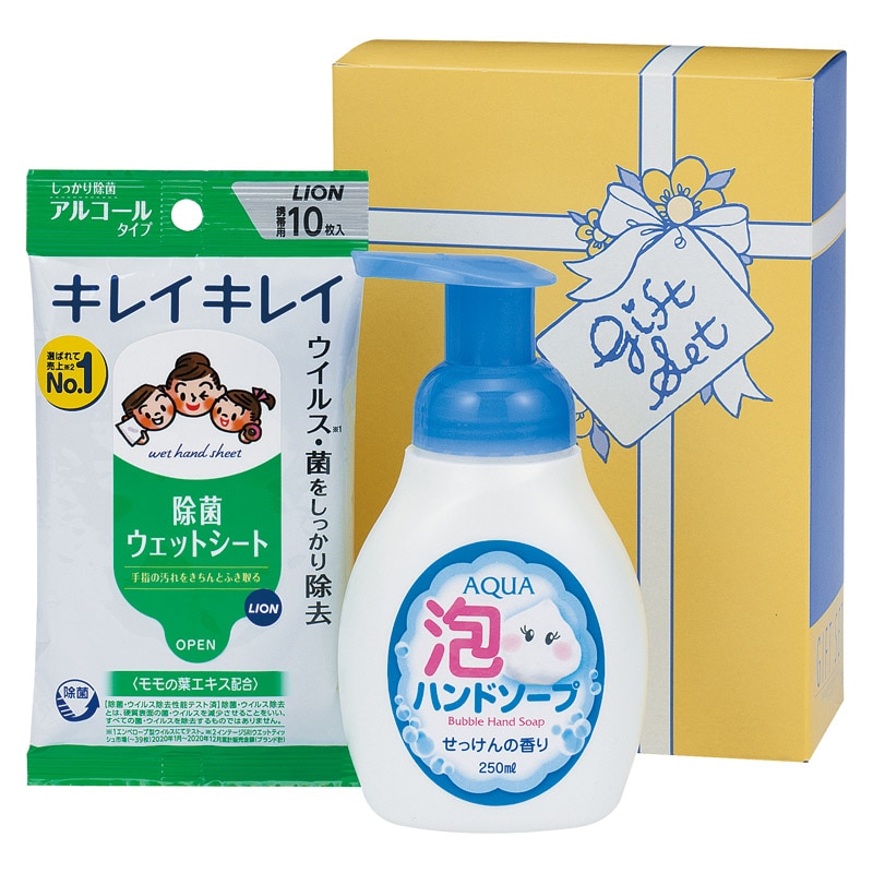 ソフトな泡クリーンセット ／ハンドソープ ボディケア コスメ・ヘアケア ギフト プレゼント プチギフト 祝い お年賀 御年賀 2026 送料無料 人気 年始挨拶 バレンタイン チョコ 以外 子供 友達