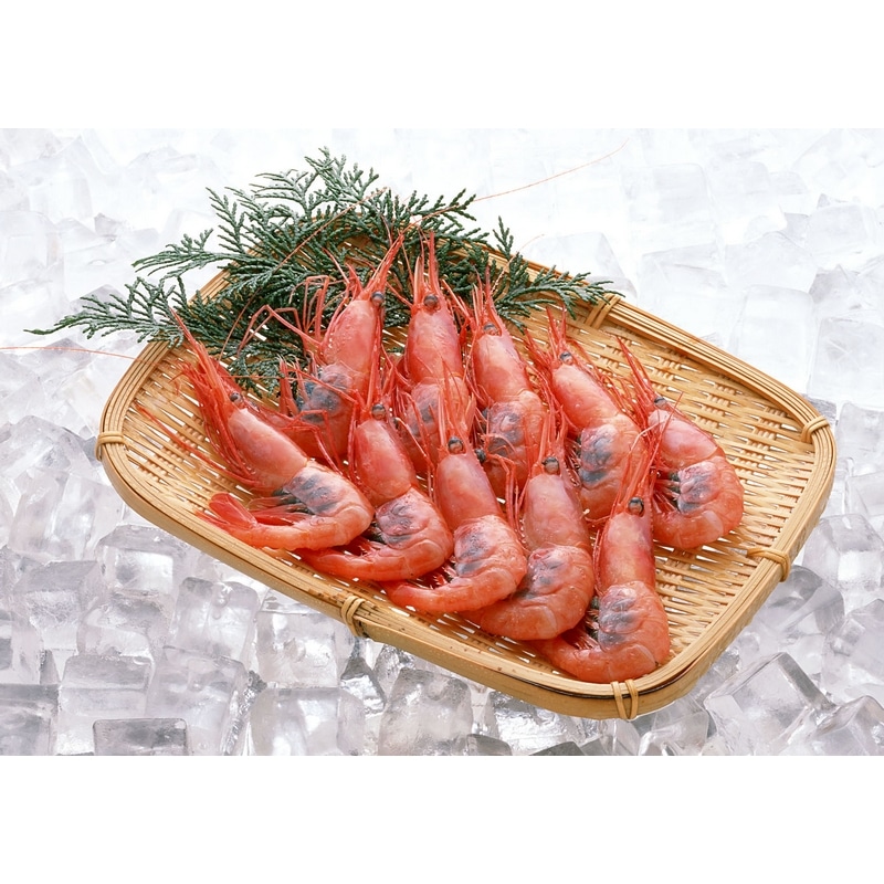 山下水産 福井県産 船内冷凍甘えび