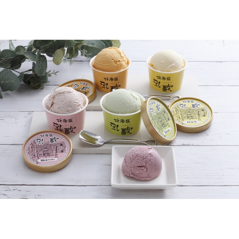 乳蔵 北海道アイスクリーム5種5個
