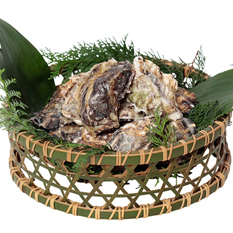 神の国伊勢志摩発凍眠セレクション 三重県産桃こまち レンチンパック(牡蠣)4kg／カキ 貝類 魚介類・水産加工品 食品 送料無料 取り寄せ グルメ 産地直送 センター スイーツ バレンタイン チョコ 以外 子供 友達 ホワイトデー お返し 人気 カード