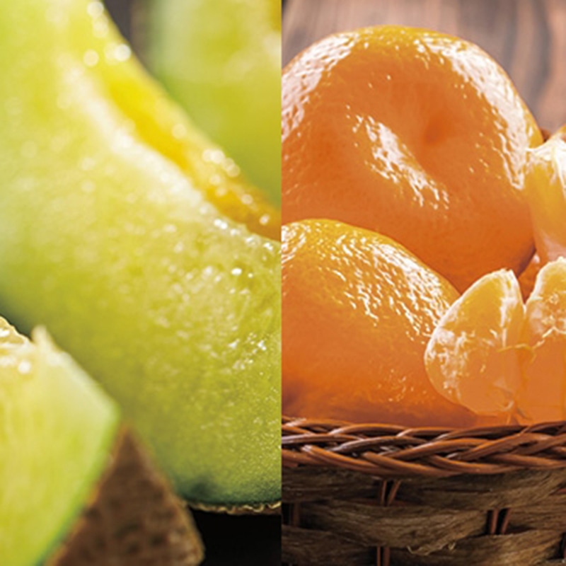 ダイワ果園 メロン＆みかん詰合せ ／メロン フルーツ・果物 食品 お歳暮 お年賀 御歳暮 御年賀 ギフト 送料無料 クリスマス プレゼント ギフト