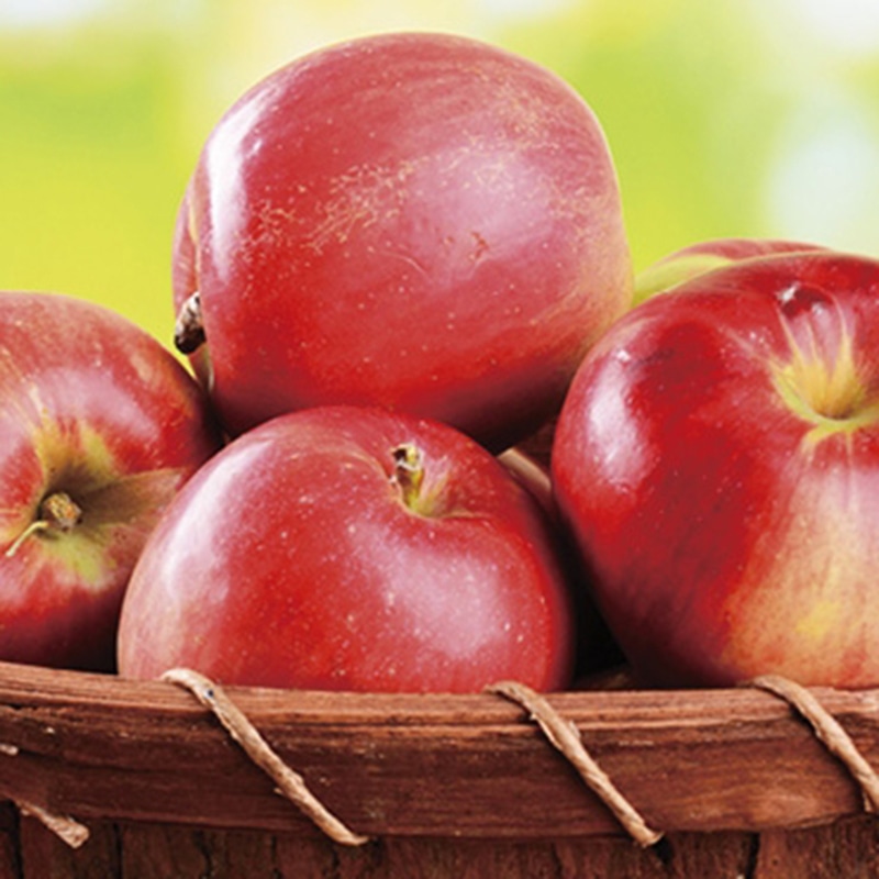 ダイワ果園 長野県産 サンふじりんご ／りんご フルーツ・果物 食品 お歳暮 お年賀 御歳暮 御年賀 ギフト 送料無料 クリスマス プレゼント ギフト