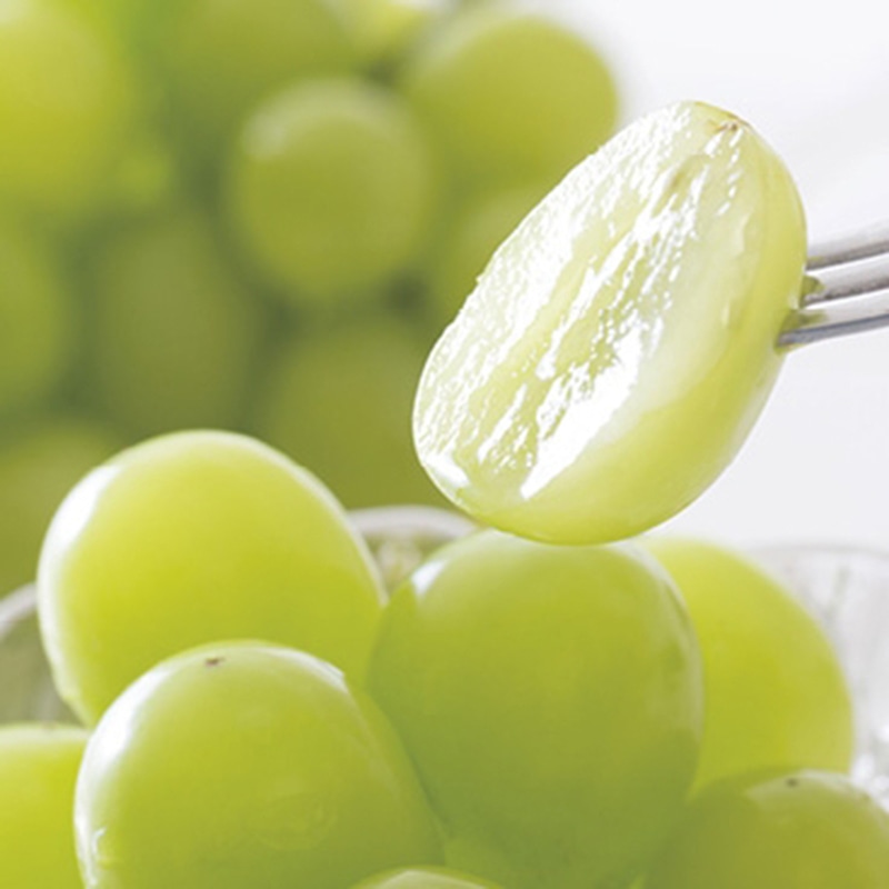 ダイワ果園 シャインマスカット ／フルーツ・果物 食品 お歳暮 お年賀 御歳暮 御年賀 ギフト 送料無料 クリスマス プレゼント ギフト