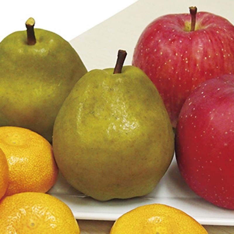 ダイワ果園 ウインターフルーツ詰合せ ／セット・詰め合わせ フルーツ・果物 食品 お歳暮 お年賀 御歳暮 御年賀 ギフト 送料無料 クリスマス プレゼント ギフト