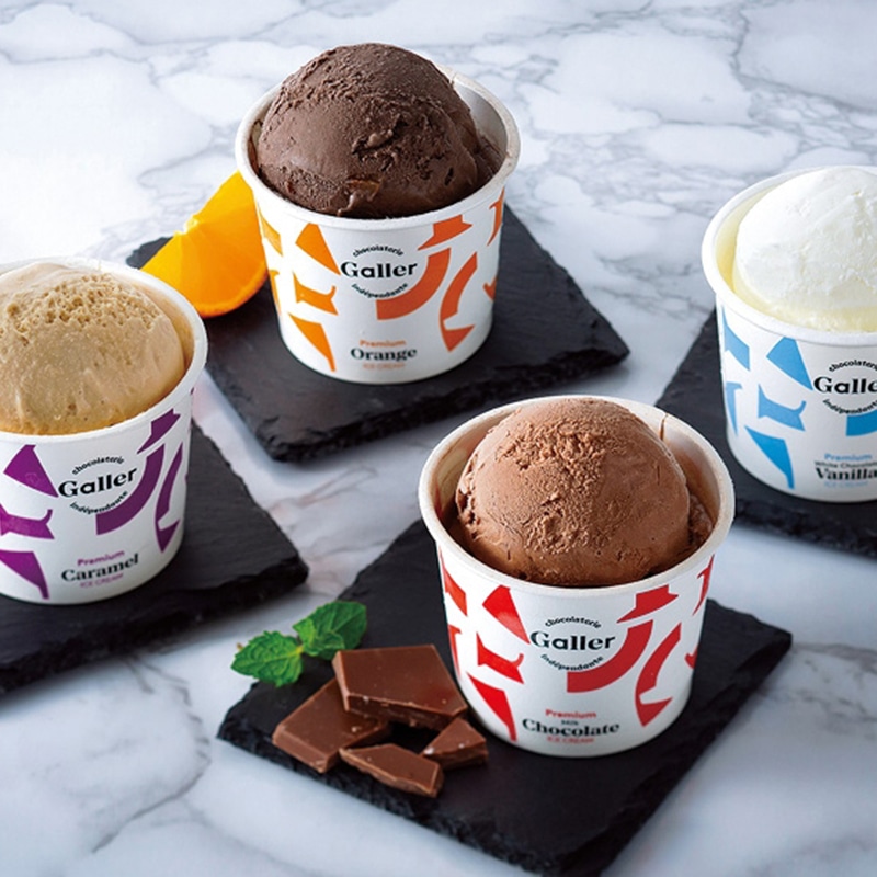 ガレー プレミアムアイスクリーム8個セット ／アイスクリーム アイスクリーム・シャーベット スイーツ・お菓子 食品 お歳暮 お年賀 御歳暮 御年賀 ギフト 送料無料 クリスマス プレゼント ギフト