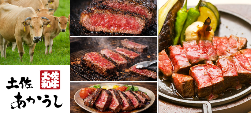 土佐あかうし