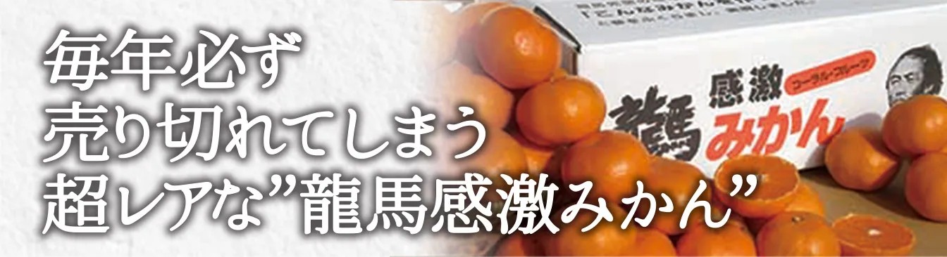 感激ミカン