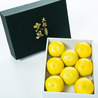 ★2026年配送予約★【日本ギフト大賞受賞】やの一果彩 土佐文旦(贈答用・大玉)|高級ギフトに人気