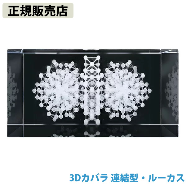 【正規販売店】3Dカバラ連結型・ルーカス