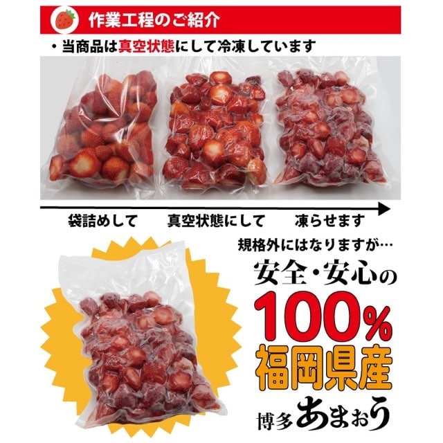 【福岡】道の駅むなかた お得にたっぷり使える! 規格外「博多あまおう」業務用冷凍パック1.6kg (800g×2袋)
