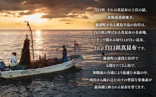 【北海道】道の駅しかべ間歇泉公園限定 香り立つ昆布醤油 北海道鹿部町白口浜真昆布(大) 500ml 2本セット