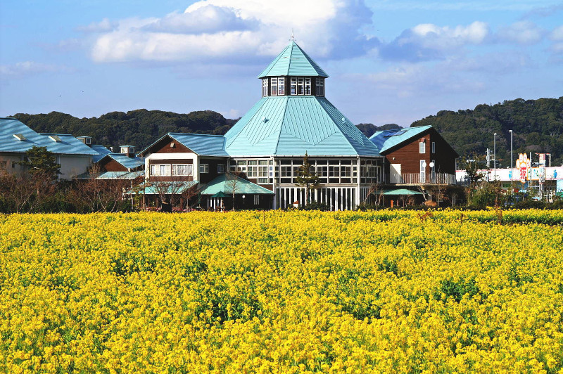 【千葉】道の駅とみうら枇杷倶楽部 房州産びわゼリー 8個