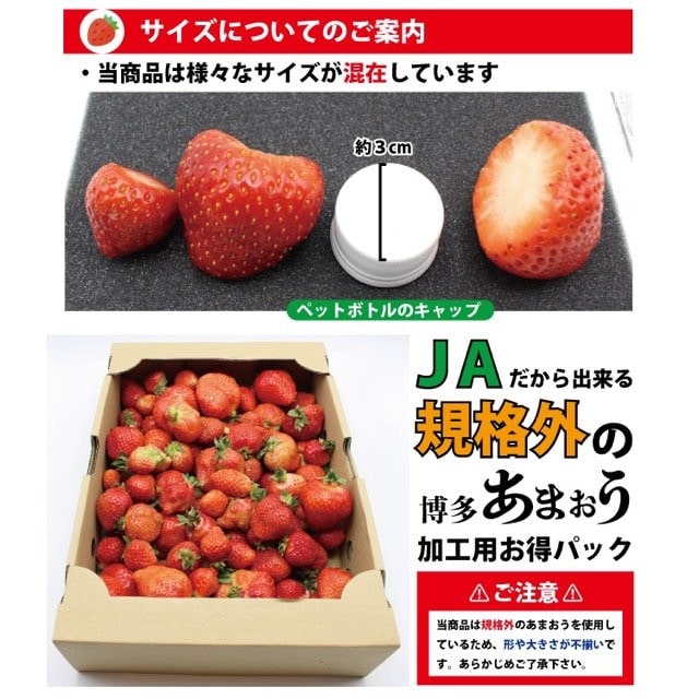 【福岡】道の駅むなかた お得にたっぷり使える! 規格外「博多あまおう」業務用冷凍パック1.6kg (800g×2袋)