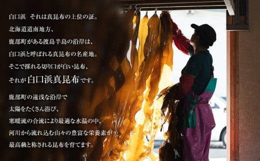 【北海道】道の駅しかべ間歇泉公園限定 希少な天然白口浜真昆布使用! 根昆布だし「贅の極み」ギフト 500ml 3本セット