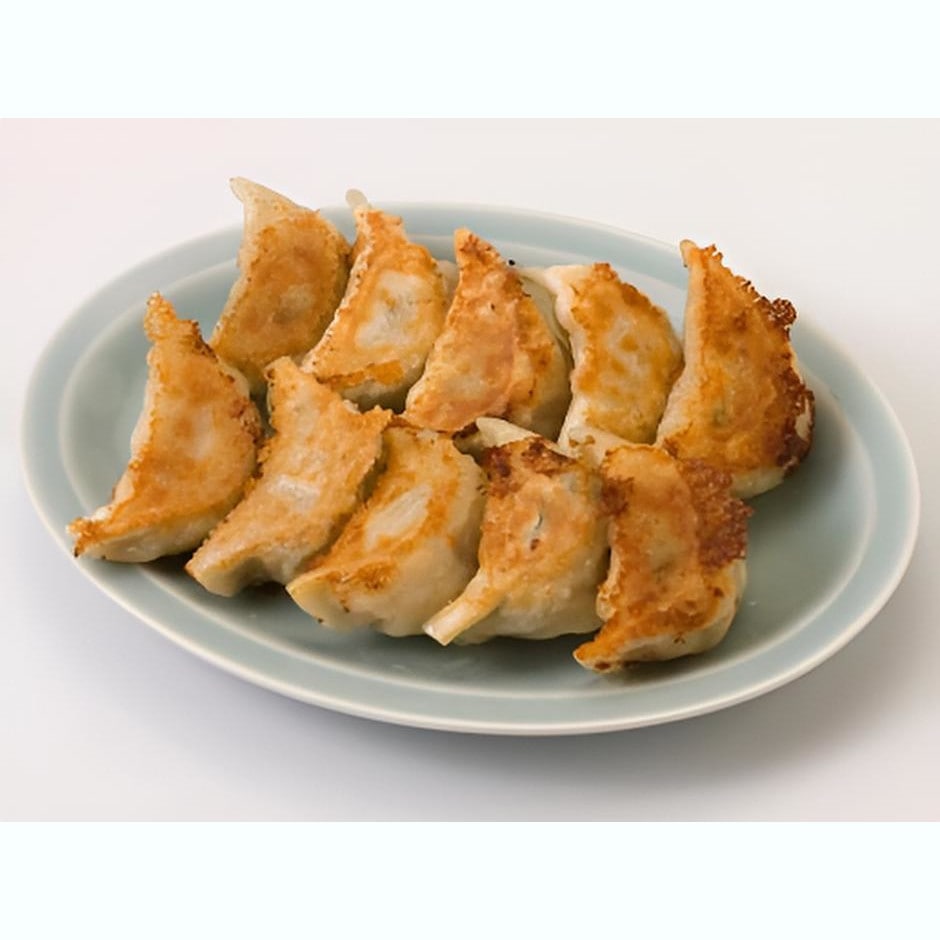 【北海道】音更ぎょうざの宝永 手造り冷凍特製餃子 1.2kg(約40個)